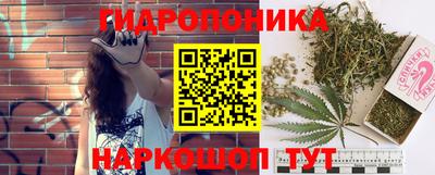 PSILOCYBIN Новозыбков