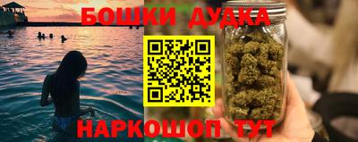 скорость Новодвинск