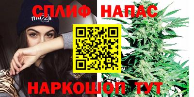 PSILOCYBIN Новозыбков