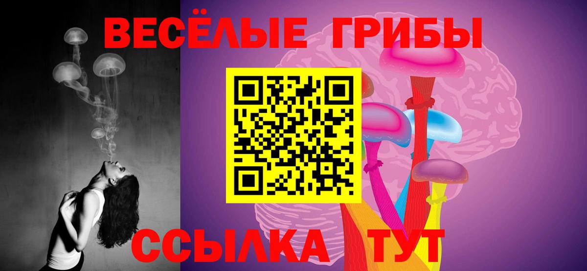 Татарск  Галлюциногенные грибы Psilocybine cubensis  Вход с VPN 
